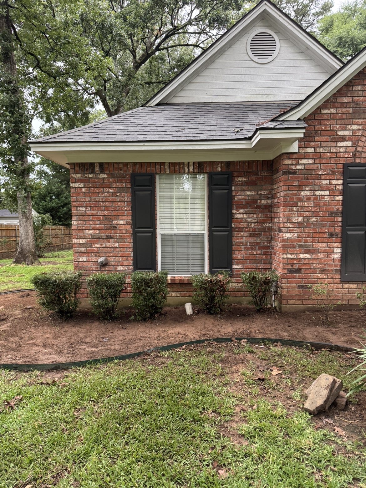 Side yard overgrowth cleared and pine straw installed after